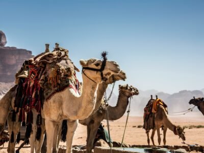 Magical 3-Day Family Adventure in Wadi Rum – 2 Nights