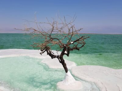 Two-Day Relaxation Trip to the Dead Sea