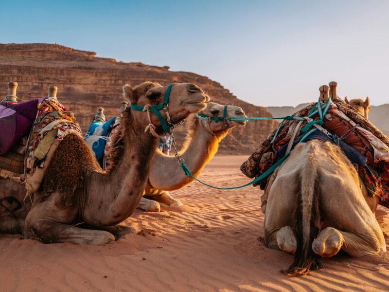 2-Day Historical Trip to Petra Itinerary