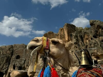 2-Day Historical Trip to Petra Itinerary