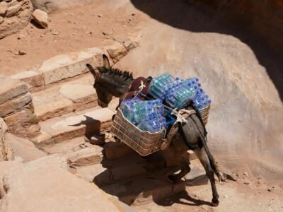 2-Day Historical Trip to Petra Itinerary