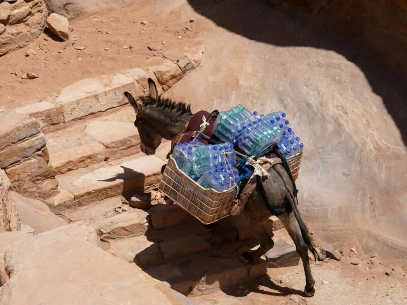 2-Day Historical Trip to Petra Itinerary